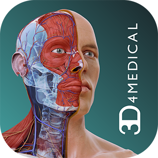 3d4medical